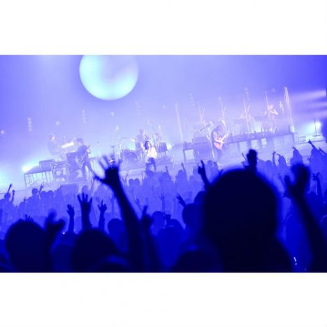 THE BACK HORNは自らをアップデートし続けるーー『月影のシンフォニー』最終公演を観て