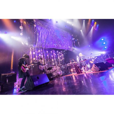 大森靖子は“戦友”を手に入れたーー赤坂BLITZワンマンで見せたバンドの団結力