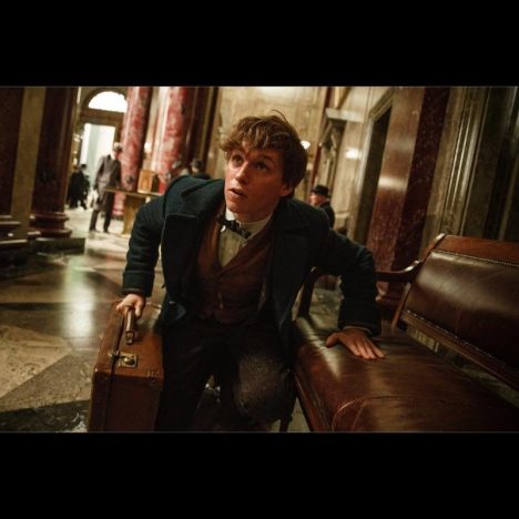 『ファンタビ』には“トランプ批判”が込められている? 社会派ファンタジーとしての側面を読む