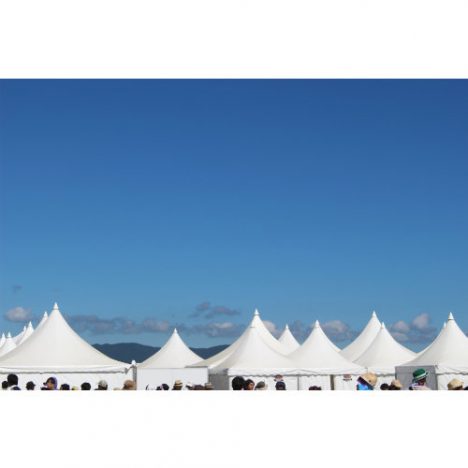 音楽フェスの未来はどこに向かう? 今年のRIJFとTIFからレジーが考察