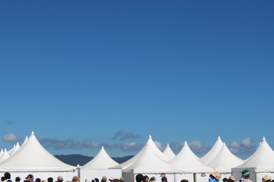 音楽フェスの未来をRIJFとTIFから考察