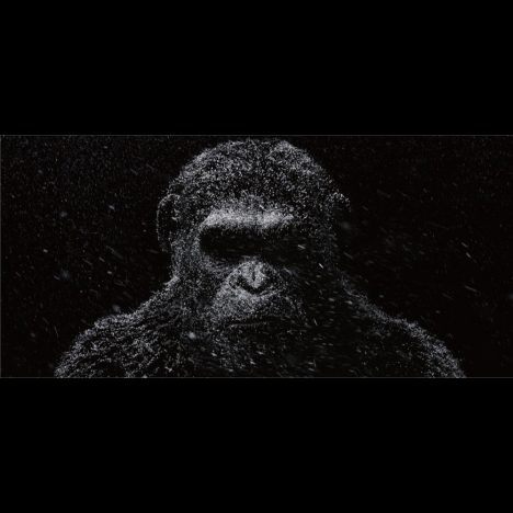シリーズ最新作『猿の惑星：大戦記』特別映像　シーザー、人類へ警告メッセージを送る