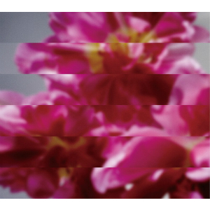 満島ひかり、MONDO GROSSO客演で“新しく生まれた”魅力 今夜Mステで「ラビリンス」歌う