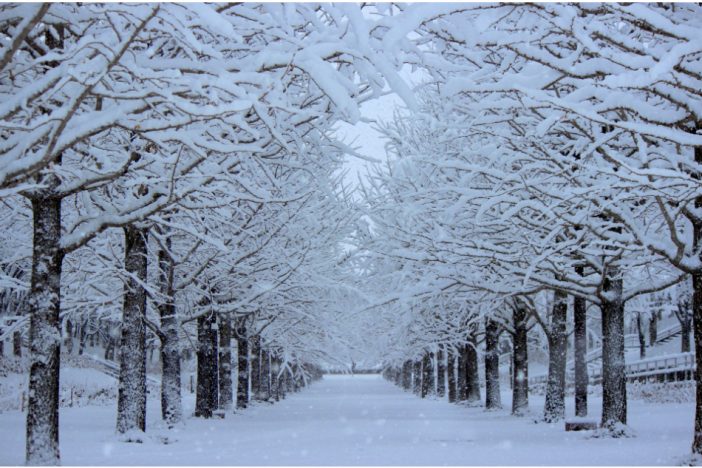 アンナチュラル、FINAL CUT、きみ棲み、トドメの接吻、99.9…2018年冬ドラマ注目主題歌は?