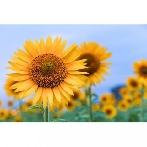 今期、もっとも観るべきドラマは? ドラマ評論家が選ぶ、平成最後の夏ドラマ注目作ベスト5