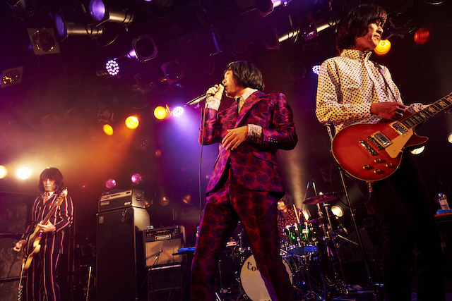 THE COLLECTORSの画像