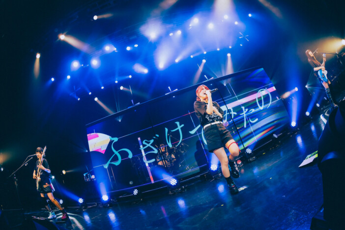 トゲナシトゲアリ、初の全国ツアーで培った経験が爆発 新たな挑戦がバンドにもたらした三者三様の成長