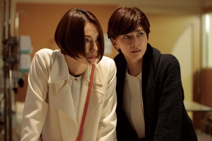 『ビッグウイング』での共演から25年 結婚を機に振り返る内田有紀と柏原崇のキャリア