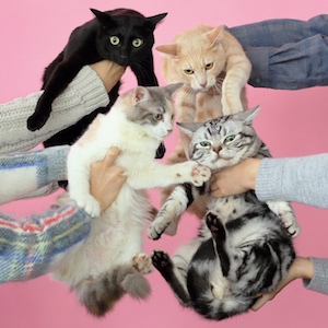 きのこ帝国の音楽的変化と一貫性 あーちゃんのピアノとギターサウンドから紐解く