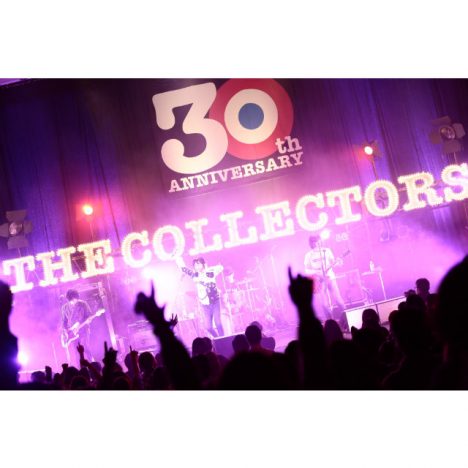 THE COLLECTORSが体現する“MOD&POP”なロックンロール　武道館のバトン渡った30周年