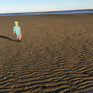 小沢健二がceroに繋いだ“バトン” 『Love Music』で語った新たな音楽への思い