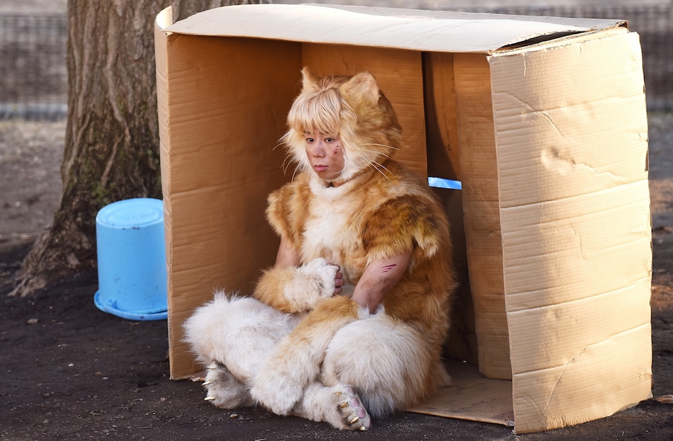 『トラさん』北山宏光の“猫”場面写真