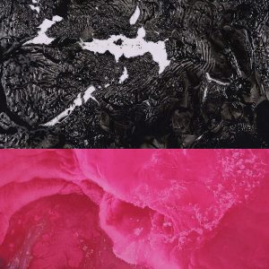 Rafiq Bhatia『Breaking English』の画像