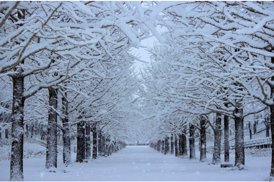 2019年冬ドラマ注目主題歌は?