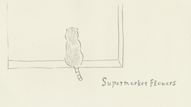 エド・シーラン、初のアニメーションビデオ「スーパーマーケット・フラワーズ」公開の画像1-1