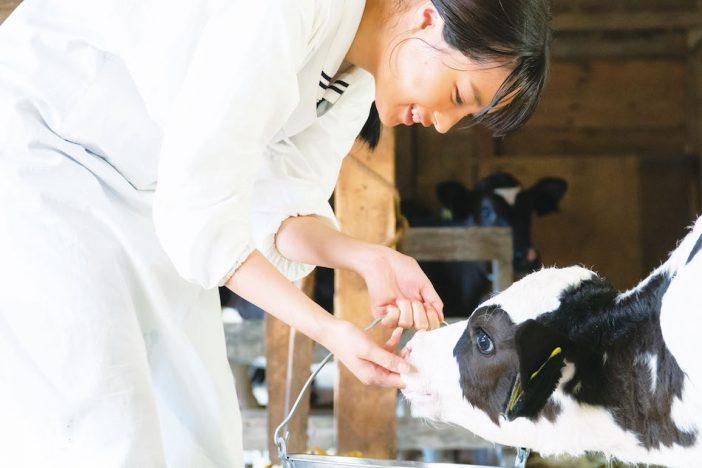 『なつぞら』第13話では、広瀬すずパートに突入! なつを見守る教師役で柄本佑も登場