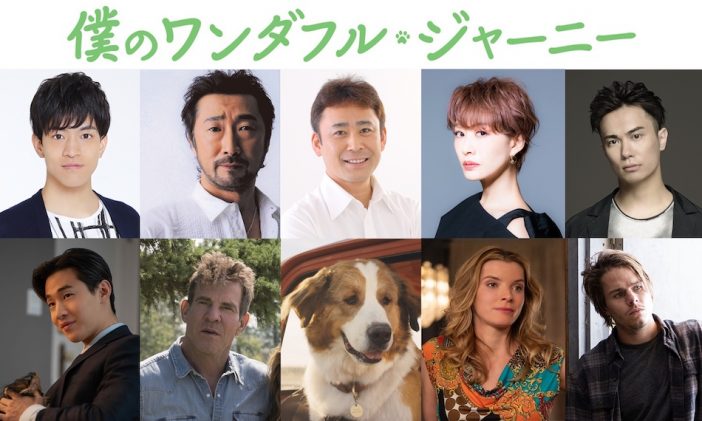 高木渉、大塚明夫、松岡洋子が続投　『僕のワンダフル・ジャーニー』吹替キャスト発表