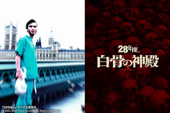 キリアン・マーフィー、『28年後... 白骨の神殿』でシリーズ復帰 「本当に誇りに思っています」