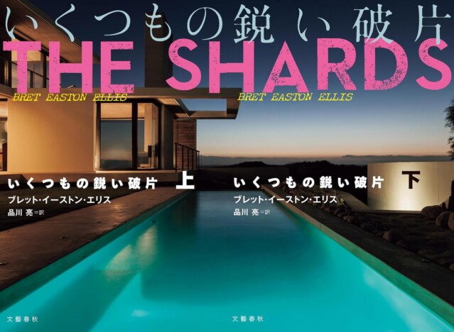 豊﨑由美×佐々木敦、海外文学レスキュー隊
